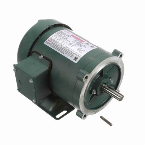 Leeson WATTSaver C-Face Footed Motor