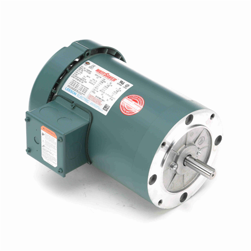 Leeson WATTSaver C-Face Footless Motor