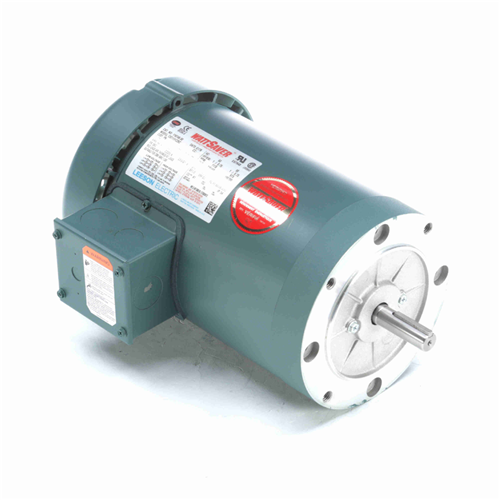 Leeson WATTSaver C-Face Footless Motor