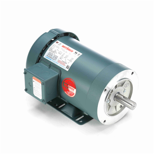 Leeson WATTSaver C-Face Footed Motor