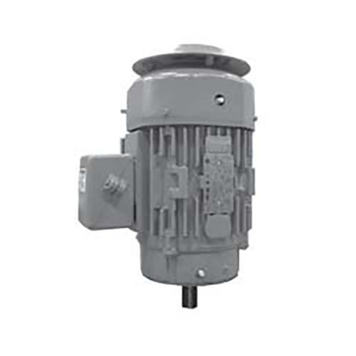 GE XSD Ultra IEEE 841 Vertical Electric Motor