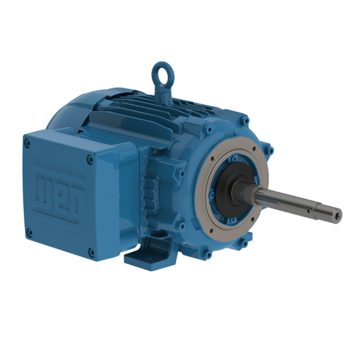 WEG W21 Totally Enclosed Fan Cooled Cast Iron  Electric Motor