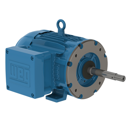 WEG W21 Totally Enclosed Fan Cooled Cast Iron  Electric Motor