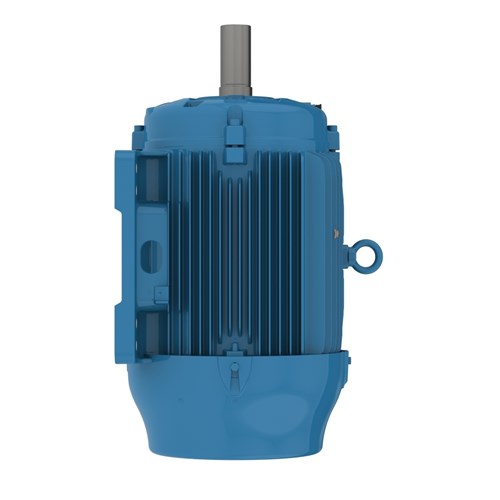 WEG W22 661 AC Motor