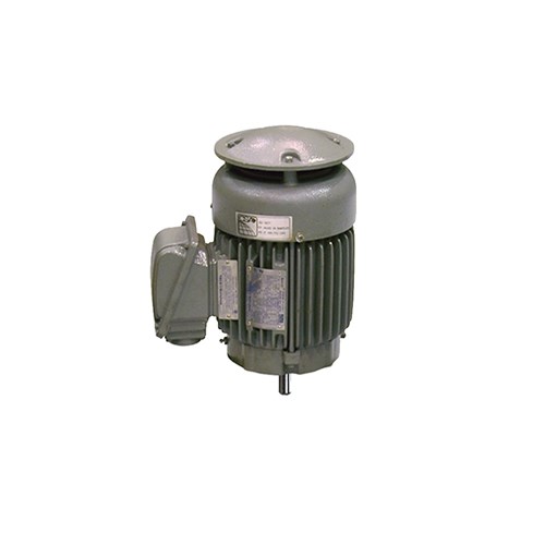 TECO MAX-PE Motor w/C-Face Round Body