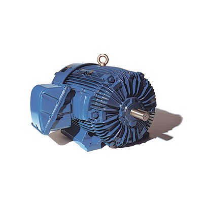 TECO Explosion Proof Motor