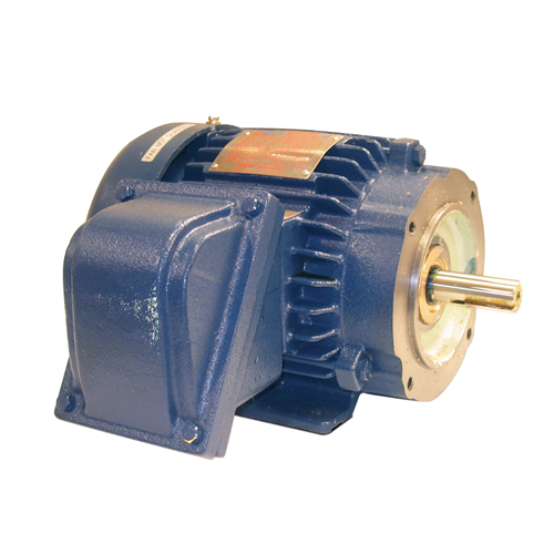 TECO Explosion Proof Motor