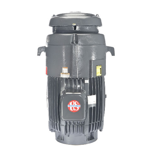 Nidec-US Motors 3-Phase TEFC Vertical Hollow Shaft Motor